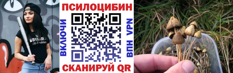 Галлюциногенные грибы мухоморы  цены наркотик  Покачи 
